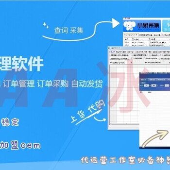 拼多多無貨源店群軟件開發(fā)與生態(tài)賦能 技術(shù)、招商與運(yùn)營一體化解決方案