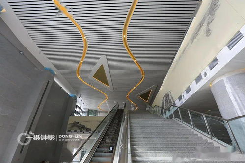 蒼南高鐵站充電樁銷售現(xiàn)場(chǎng)紀(jì)實(shí) 機(jī)動(dòng)車充電新趨勢(shì)初現(xiàn)